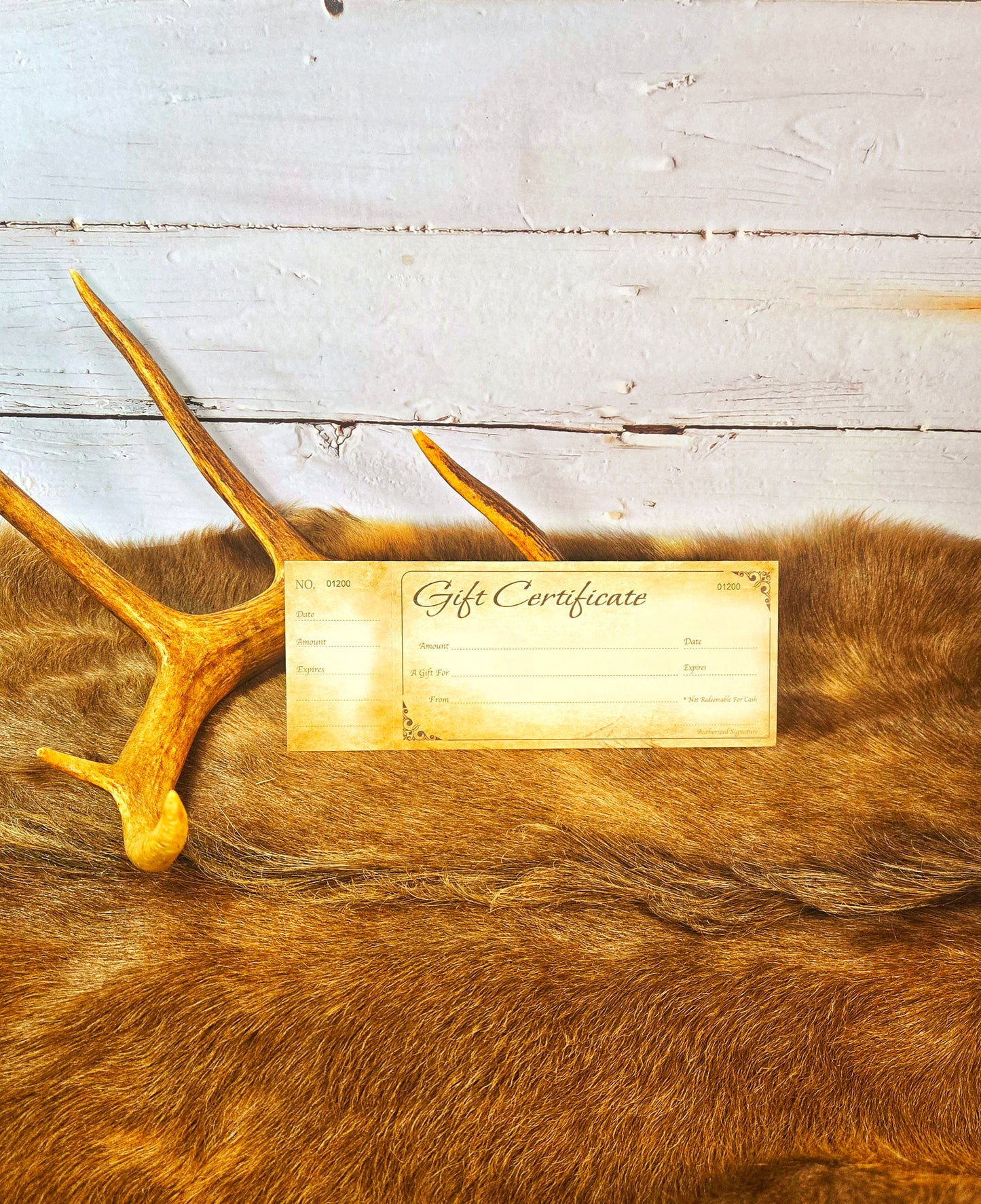 "PC" Gift Certificate