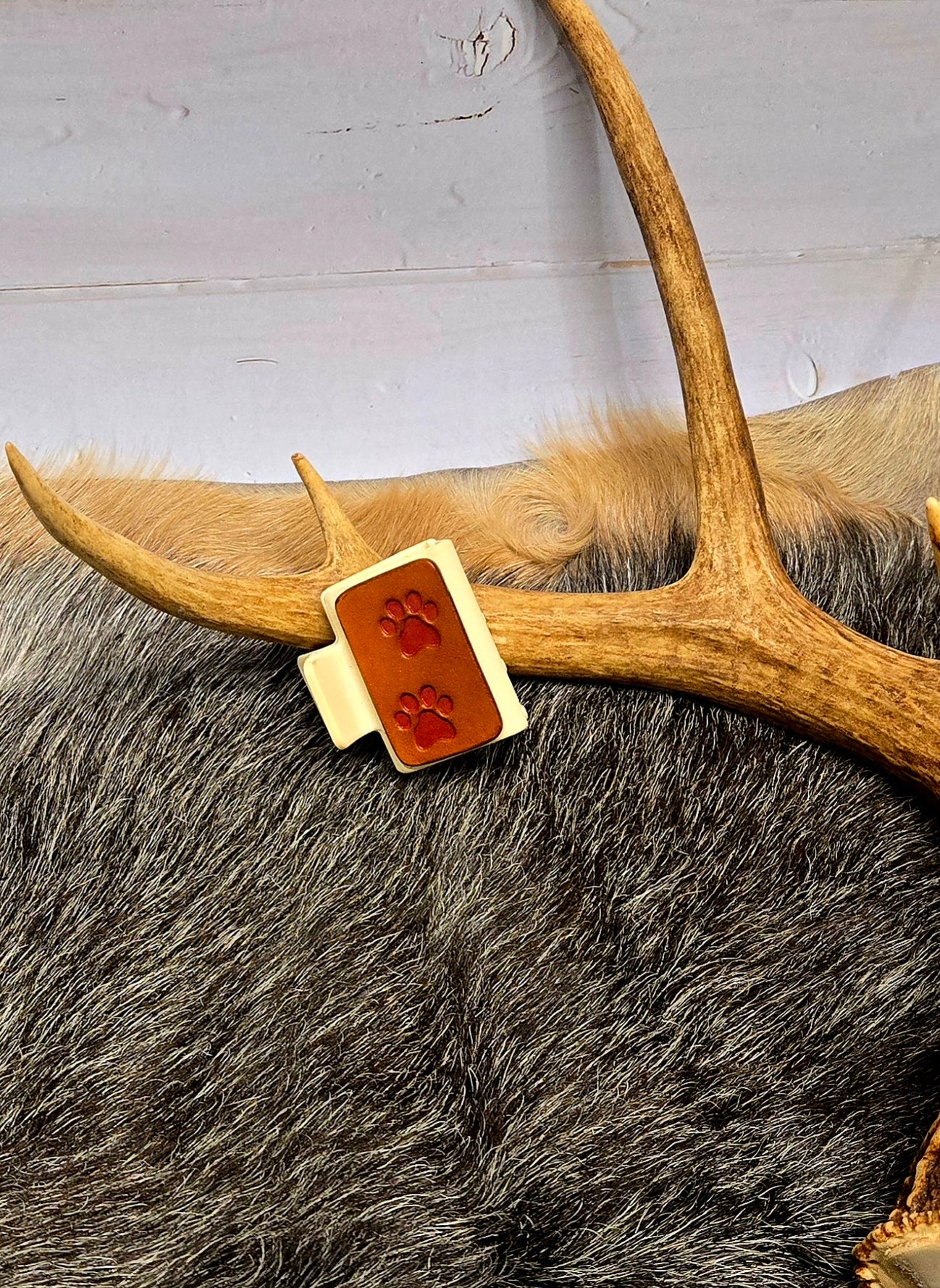 Small Hair Clips
