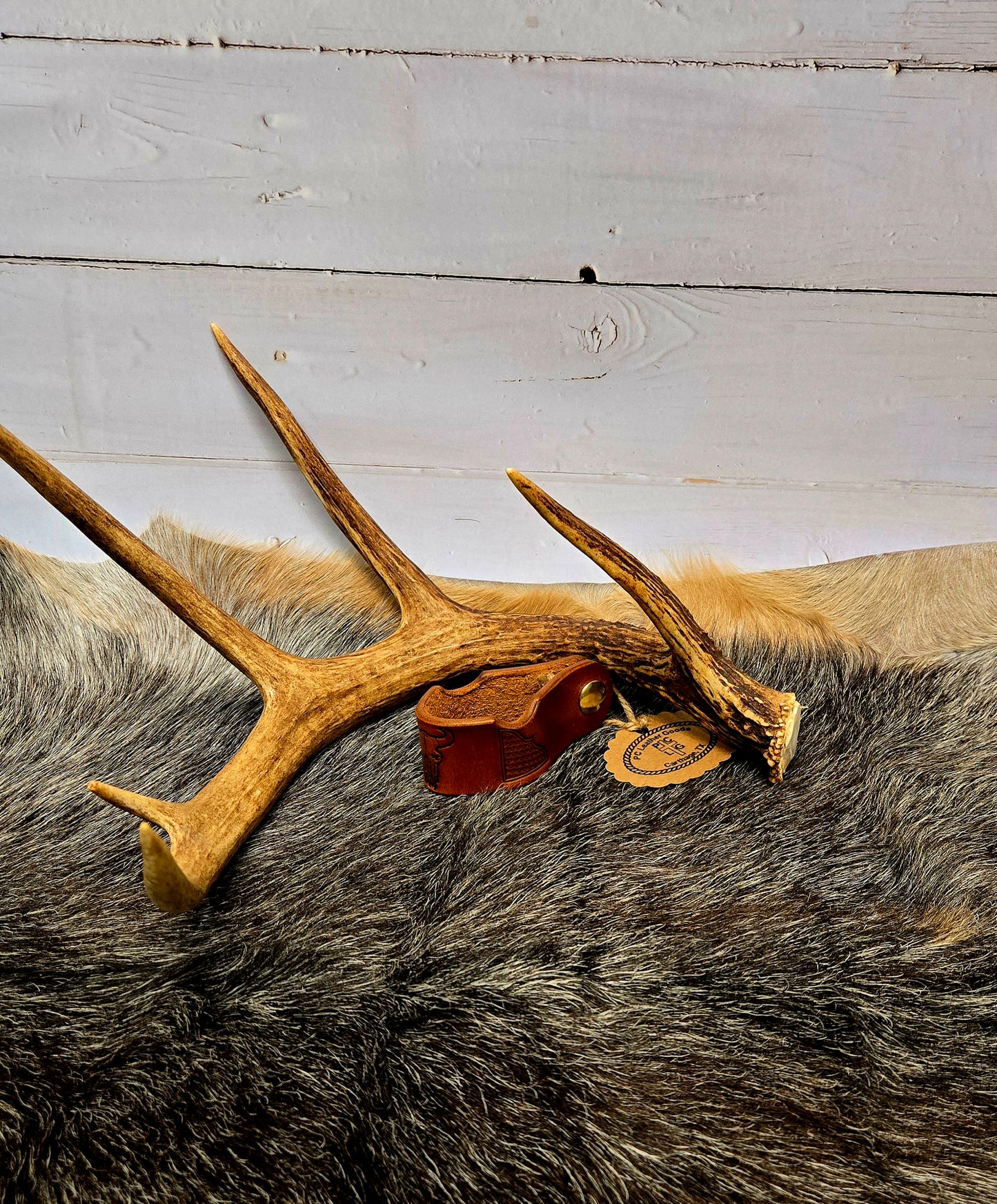 Cigar / Pipe Holder